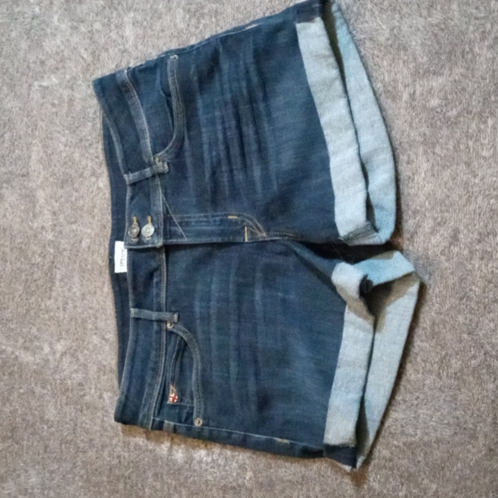 Hudson Croxley mid thigh shorts Elemental wash